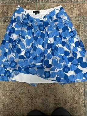 Talbots Blue & White Floral Full Skirt